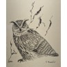 Lithograph entitled "Owl", signed by G. BRESSLER
