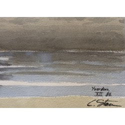 Aquarelle "Corbeau et mouettes" signé C. STERN