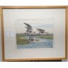 Aquarelle "Pluviers argentés" signé C. STERN