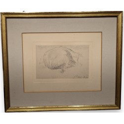 Dessin "Vache couchée" signée René A. 49