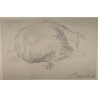 Dessin "Vache couchée" signée René A. 49