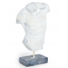 Torse d'homme simulant la pierre