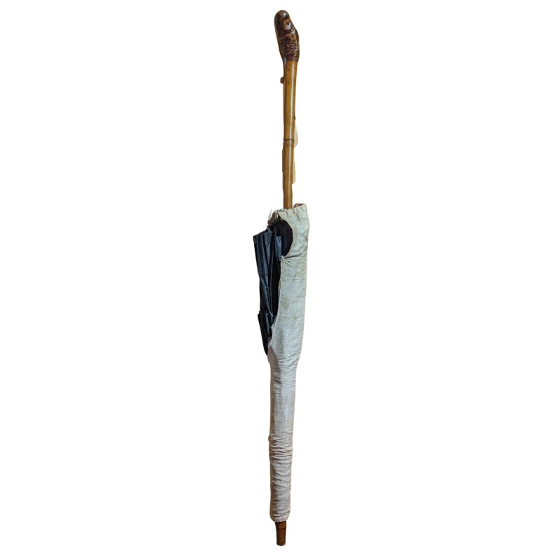 Parasol with a reed handle