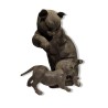 Bronze \"Chat et son petit\"