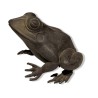 Bronze \"Grenouille\"