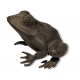 Bronze "Grenouille"