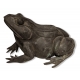 Bronze "Grenouille"