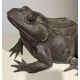 Bronze "Grenouille"