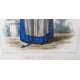 Gravure "Canton du Valais" par J. SUTER
