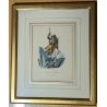Gravure "Chasseur de Chamois" par LORY