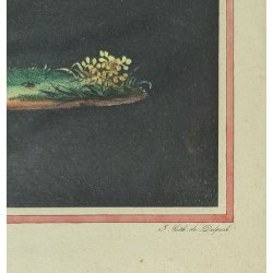 Gravure "Bacchante" par DELPECH