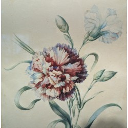 Aquarelle "Oeillet" signée E. REINHART