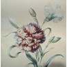 Aquarelle "Oeillet" signée E. REINHART