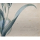 Aquarelle "Oeillet" signée E. REINHART