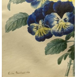 Aquarelle "Pensées" signée Emilie REINHART 1838
