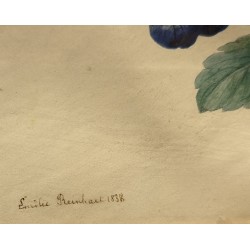 Aquarelle "Pensées" signée Emilie REINHART 1838