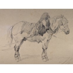 Dessin "Cheval" signé Th. FORT
