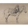 Dessin "Cheval" signé Th. FORT