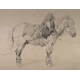 Dessin "Cheval" signé Th. FORT