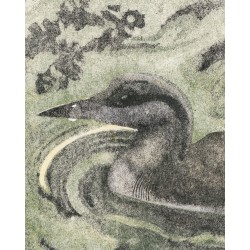 Gravure "Plongeon arctique" signée HAINARD