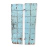 A pair of Indian doors painted blue