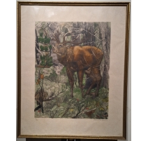 Gravure "Cerf brâmant" signée Robert HAINARD