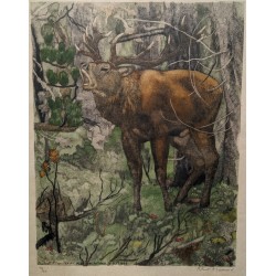 Gravure "Cerf brâmant" signée Robert HAINARD