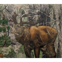 Gravure "Cerf brâmant" signée Robert HAINARD