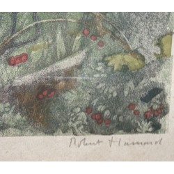 Gravure "Cerf brâmant" signée Robert HAINARD