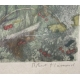 Gravure "Cerf brâmant" signée Robert HAINARD