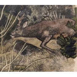 Gravure "Brocard" signée Robert HAINARD
