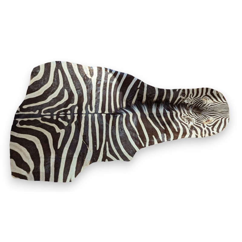 Zebra skin