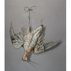 Signed pastel drawing, ‘Woodcock’