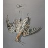 Signed pastel drawing, ‘Woodcock’