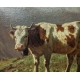Tableau "Vache à la Frasse" signé HUMBERT