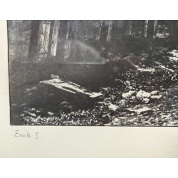 Photographie "Esserts I" signée DE KALBERNATTEN