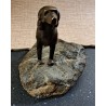 Bronze "Epagneul" de Charles REUSSNER
