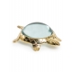 Loupe Tortue en laiton