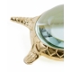 Loupe Tortue en laiton