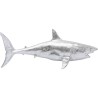 Requin en résine argenté