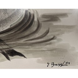 Aquarelle "Fuligule milouin" signée G. BRESSLER