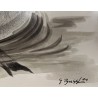 Aquarelle "Fuligule milouin" signée G. BRESSLER