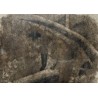 Gravure "Renard dans la pénombre" signée HAINARD