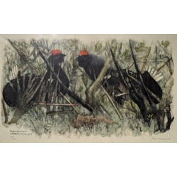 Gravure "Petits coqs" signée HAINARD
