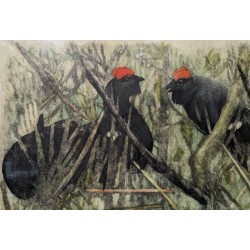 Gravure "Petits coqs" signée HAINARD