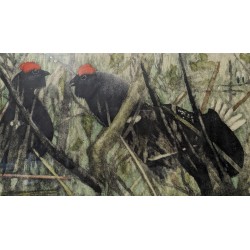 Gravure "Petits coqs" signée HAINARD