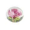Large pink flower sulphide