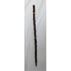Canne en bois épineux avec montures en laiton