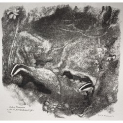 Engraving entitled "Badgers", signed HAINARD