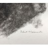 Engraving entitled "Badgers", signed HAINARD